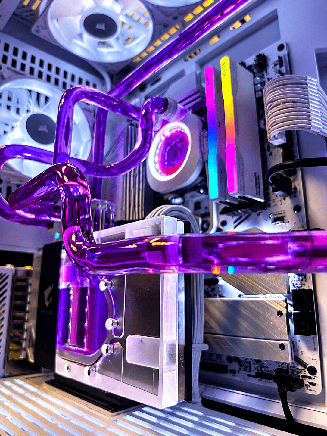 GPU full cover water block and purple coolant tubing inside a Renegade