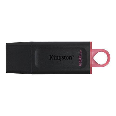 Kingston DataTraveler 256GB USB 3.2 Stick - Utopia Computers